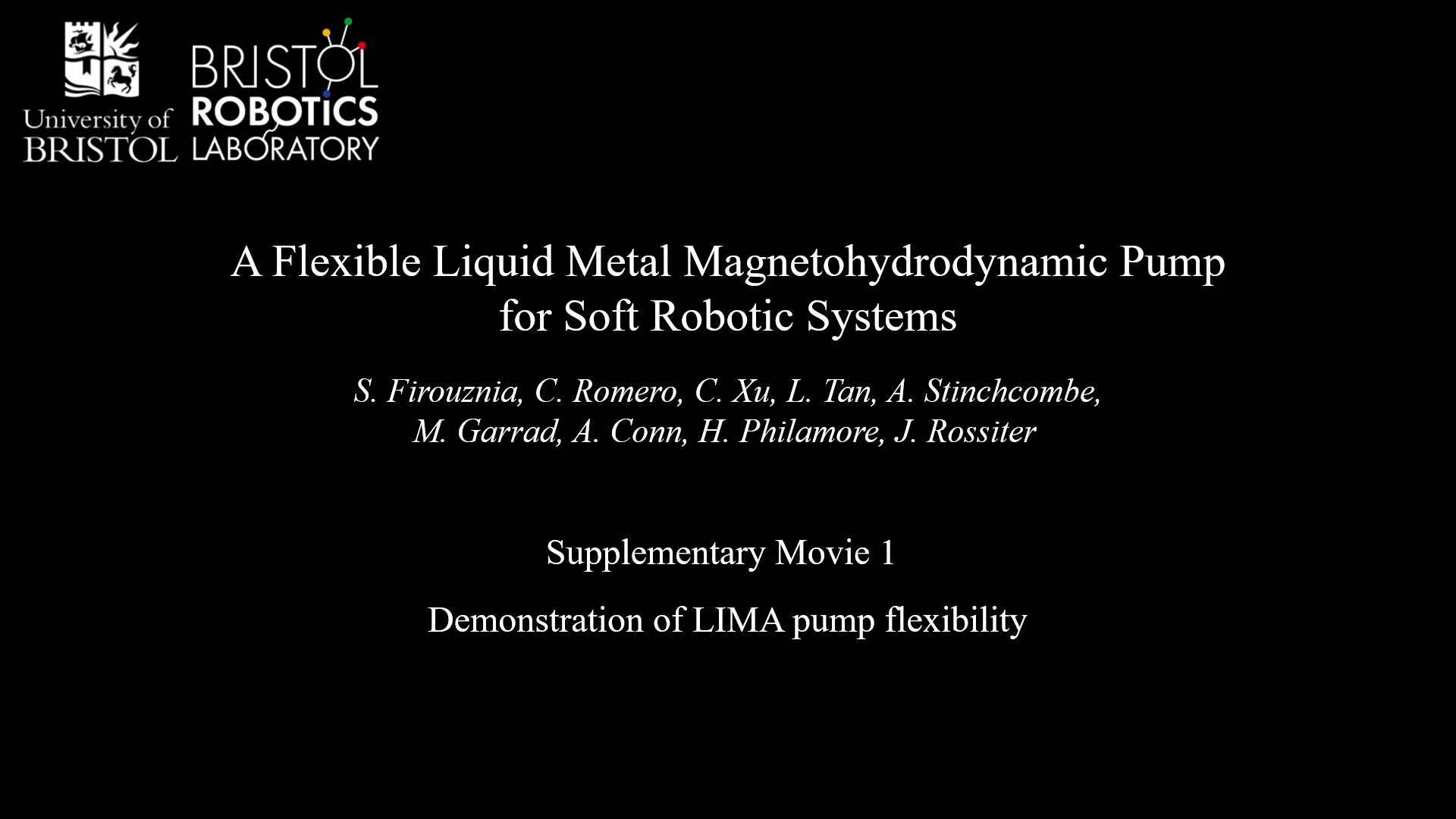 lima pump